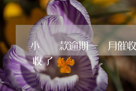 小額貸款逾期一個月催收(逾期一年又開始催收了)