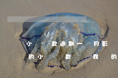 小額貸款逾期一個月影響征信嗎，逾期一個月的小額貸款會對我們的征信產(chǎn)生影響嗎？