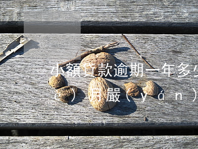 小額貸款逾期一年多少錢(貸款逾期一個(gè)月嚴(yán)重嗎)
