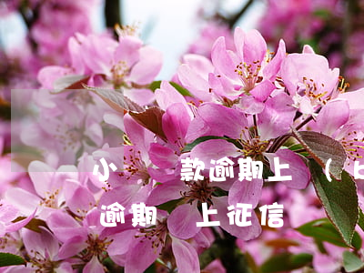 小額貸款逾期上報(bào)征信(小額貸款逾期會上征信嗎)