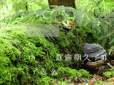 小額貸款逾期久了咋辦(小額貸款逾期被起訴了怎么辦)