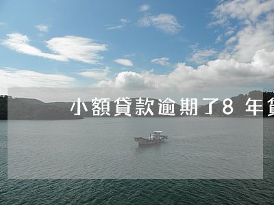 小額貸款逾期了8年(貸款逾期8年銀行沒催)