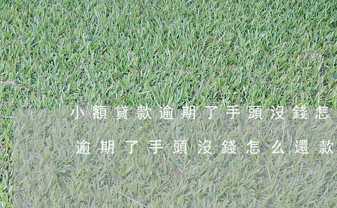 小額貸款逾期了手頭沒錢怎么還-小額貸款逾期了手頭沒錢怎么還款