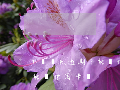 小額貸款逾期了能辦信用卡嗎-有貸款逾期能辦信用卡嗎