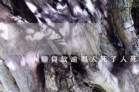 小額貸款逾期人死了(人死了貸款逾期的利息)