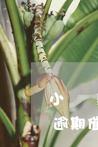小額貸款逾期催收規(guī)則(小額貸款逾期催收規(guī)則)