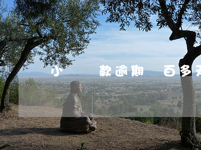 小額貸款逾期兩百多天(貸款逾期兩三天怎么辦)