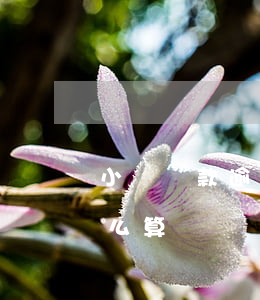 小額貸款逾期利息上限(小額貸款逾期利息怎么算)