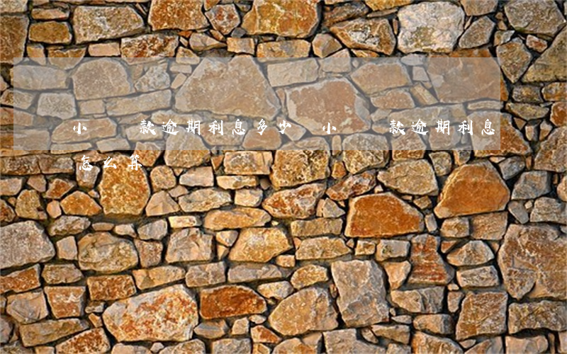 小額貸款逾期利息多少錢(小額貸款逾期利息怎么算)
