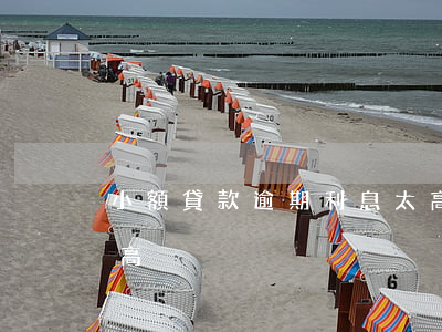 小額貸款逾期利息太高(小額貸款逾期利息太高)