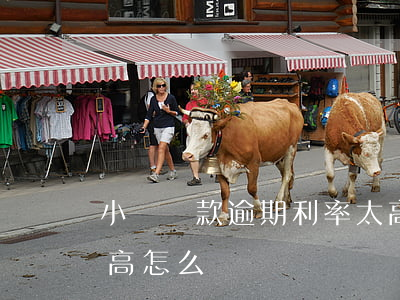 小額貸款逾期利率太高(小額貸款逾期利息太高怎么辦)