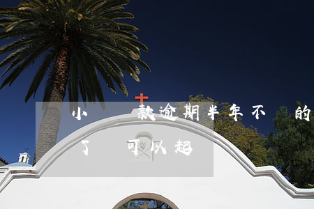 小額貸款逾期半年不還的(小額貸款逾期五年了還可以起訴嗎)