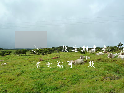 小額貸款逾期半年會怎樣(半年內(nèi)有逾期可貸款嗎)