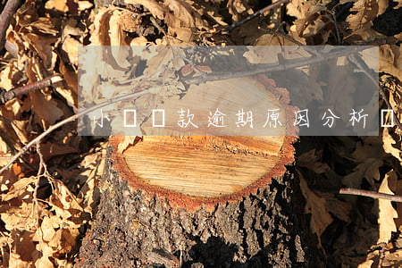 小額貸款逾期原因分析(貸款逾期案例分析)