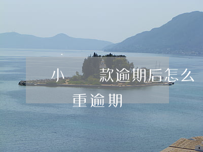 小額貸款逾期后怎么還款(小額貸逾期多久算嚴重逾期)
