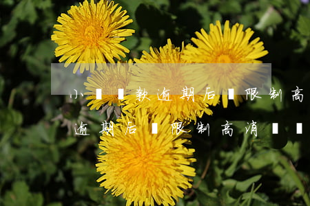 小額貸款逾期后會限制高消費嗎-小額貸款逾期后會限制高消費嗎怎么辦