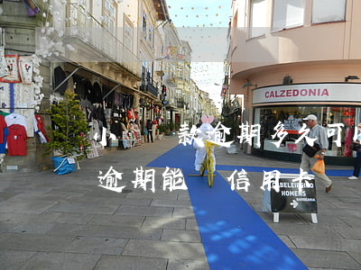 小額貸款逾期多久可以辦信用卡(征信有小貸逾期能辦信用卡嗎)