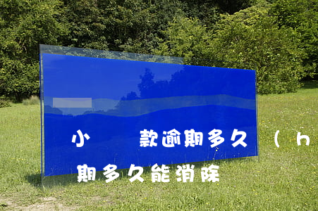 小額貸款逾期多久會(huì)消(貸款有逾期多久能消除)