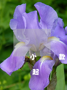小額貸款逾期多久要起訴(借款逾期多久可以起訴)
