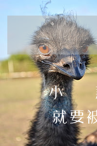 小額貸款逾期多久起訴（小額貸款逾期20天就要被起訴）