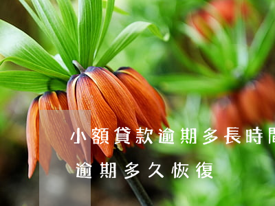 小額貸款逾期多長時間確認損失-小額貸款逾期多久恢復