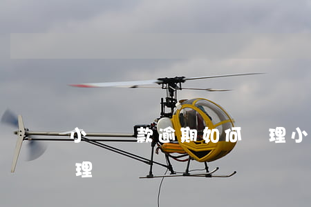 小額貸款逾期如何處理(小額貸款逾期如何處理)