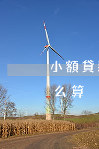 小額貸款逾期如何計算(小額貸款逾期利息怎么算)