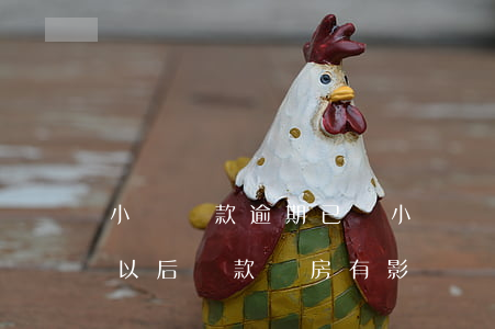 小額貸款逾期已還 小額貸款逾期已還清了對以后貸款買房有影響嗎?