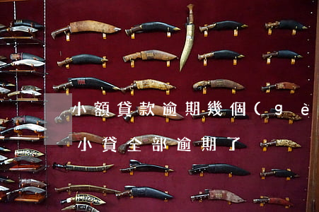 小額貸款逾期幾個(gè)小時(shí)(小貸全部逾期了)