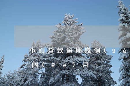 小額貸款逾期幾個(gè)月了(貸款逾期半個(gè)月)