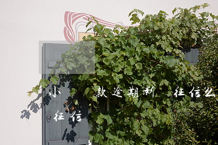 小額貸款逾期影響征信么(小額信貸逾期影響征信嗎)