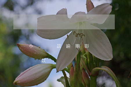 小額貸款逾期影響車貸嗎(車貸逾期影響買房貸款嗎)