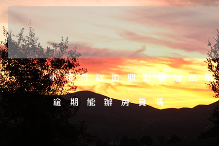 小額貸款逾期影響辦信用卡嗎(小金額信用卡逾期能辦房貸嗎)