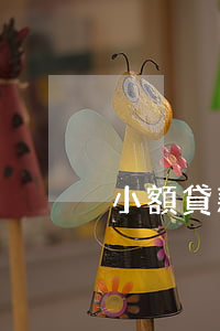 小額貸款逾期慢慢還(小貸全部逾期了)