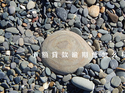 小額貸款逾期會怎么樣(小貸全部逾期了)