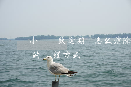 小額貸款逾期會怎么消除(小額貸款對于逾期的處理方式)