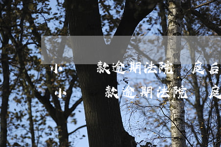 小額貸款逾期法院開庭后結(jié)果-小額貸款逾期法院開庭后結(jié)果