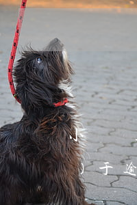 小額貸款逾期無力償還(小額貸款對(duì)于逾期的處理方式)