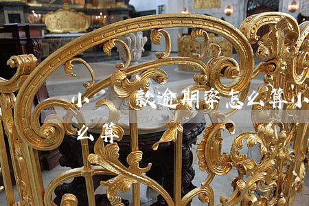 小額貸款逾期率怎么算(小額貸款逾期利息怎么算)