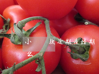 小額貸款逾期疫情期間(貸款疫情期間逾期怎么辦)
