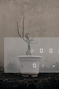 小額貸款逾期發(fā)本人照片要還媽-網(wǎng)貸逾期說(shuō)要發(fā)照片給親戚