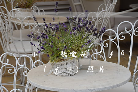 小額貸款逾期發(fā)照片(小額貸款逾期發(fā)照片)
