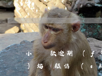 小額貸款逾期發(fā)短信說(shuō)起訴 短信說(shuō)我貸款逾期上報(bào)法院