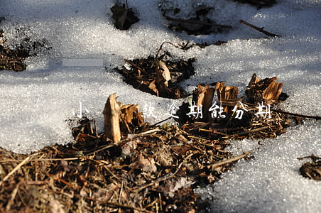 小額貸款逾期能分期