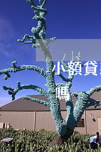 小額貸款逾期能買車嗎(逾期過可以貸款買車嗎)
