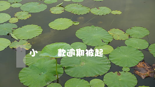 小額貸款逾期被起訴