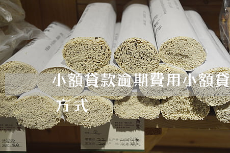 小額貸款逾期費用(小額貸款對于逾期的處理方式)
