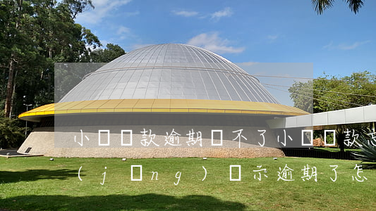 小額貸款逾期還不了(小額貸款忘記還了,已經(jīng)顯示逾期了,怎么辦)