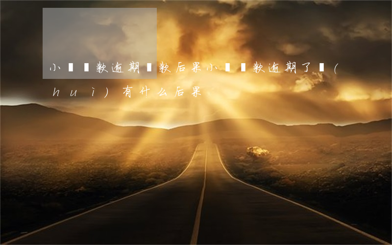 小額貸款逾期還款后果(小額貸款逾期了會(huì)有什么后果)