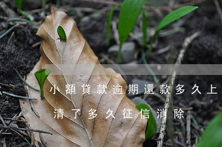 小額貸款逾期還款多久上征信(小額貸逾期還清了,多久征信消除)